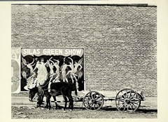 Walker Evans Art Photo Print Card Mule Team And Poster Alabama 1936 4.25”x6”