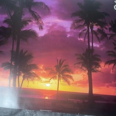 Artwork 1983 Wall Art “Purple Sunset” By John Wagner 20×16 Palm Trees Beach