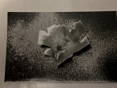 Untitled Small Photogram (6) Circa 2018