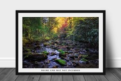 Forest Photography Print – Picture of Creek in Great Smoky Mountains Tennessee