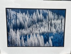 Carl R Sams – Limited Edition – Signed/Numbered – Winter Forest Landscape