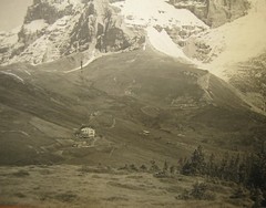 Antique c1900 GEBRUDER WEHRLI AG SWISS ALPS Mountain Landscape PHOTOGRAPH