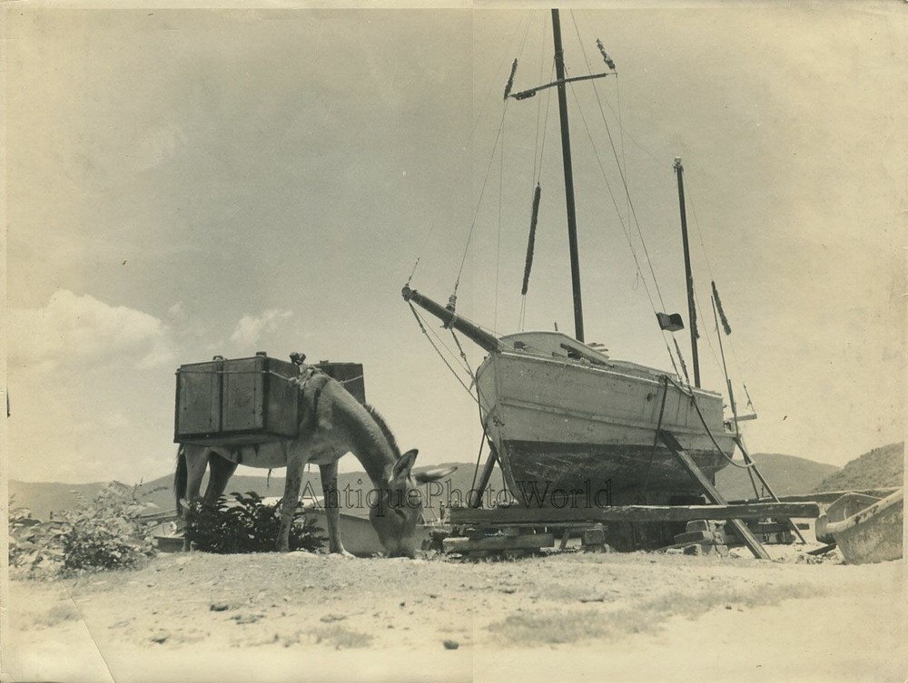 Mexico donkey by sail boat ship antique art photo