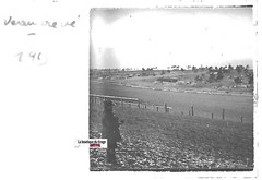 Calf Crève , Laval, Plate Glass Stereo, Tip Positive Antique Black & White