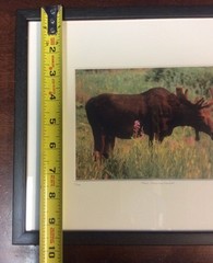 Moose Smelling Flowers Framed 2/100 Photo Signed Willie Holdman 12 1/4″X9 3/4″