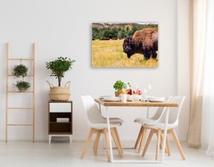 Buffalo photography wall art hanging photo nature pictures western home decor