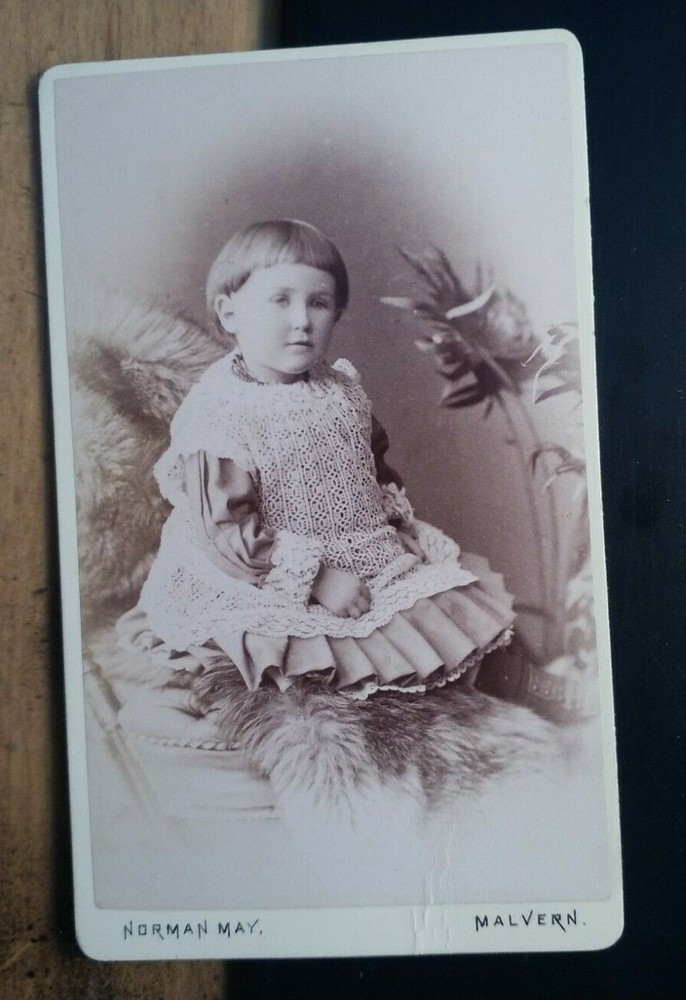 small child sitting on a fur / CDV Norman May Malvern