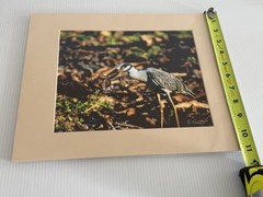 Signed Bird Photography Print Suzanne Kempler Yellow-Crowned Night Heron Mat