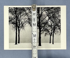 Chicago 1950 Art Print Card Photo By Harry Callahan Fotofolio 4”x6”