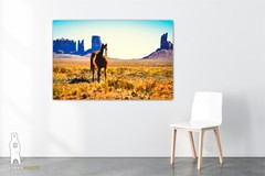 Monument Valley Horse – Utah Fine Art Photography by Bear8Photo – Desert Décor