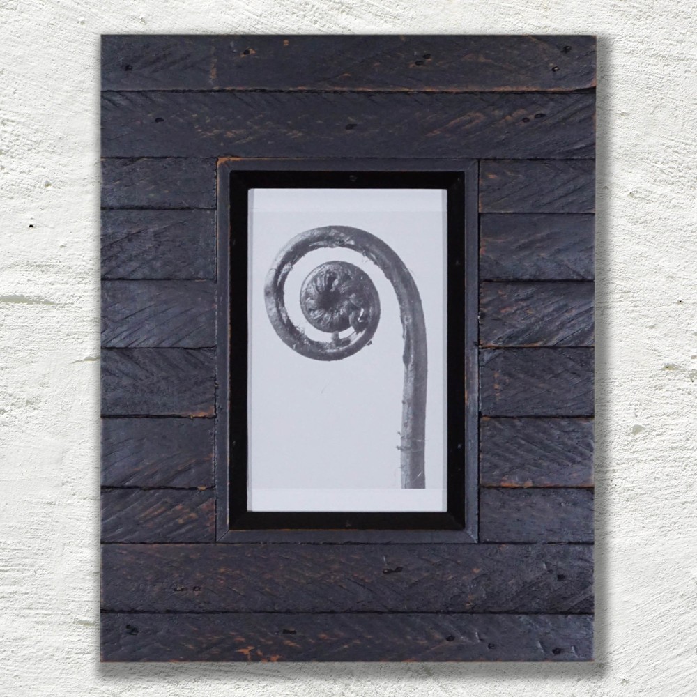 Karl Blossfeldt | Published Print | Surrealist Plant Photography