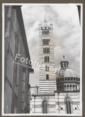 Photo Siena Italy 1950s Cathedral Tower Campanile Architecture