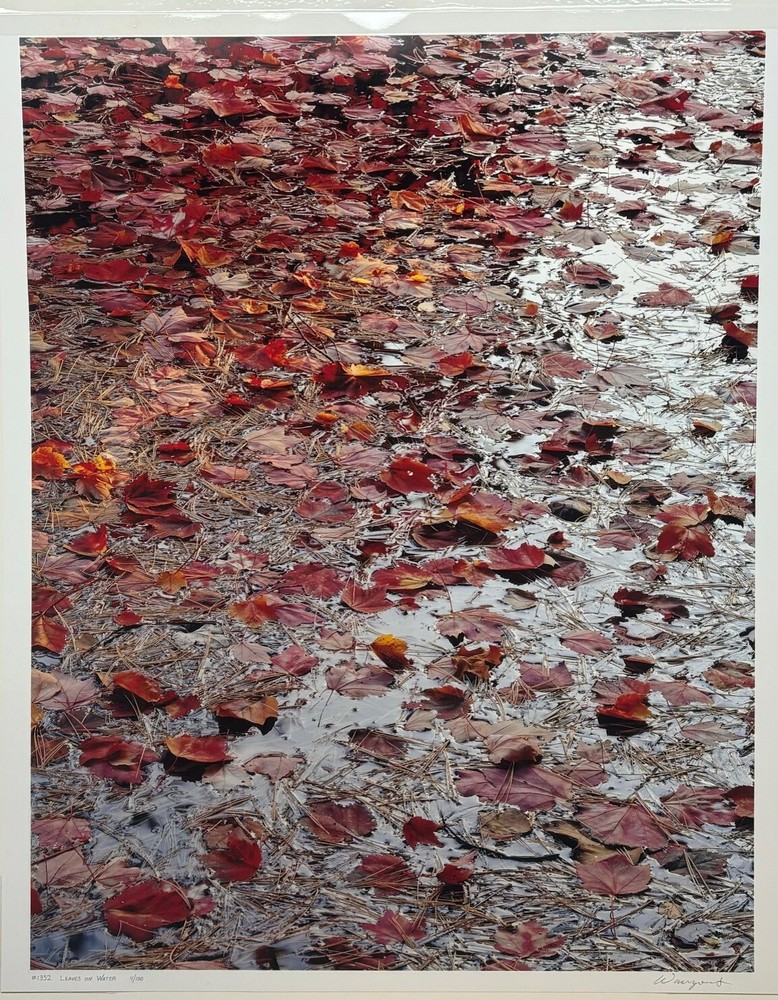 Original JOHN WAWRZONEK ‘Leaves on Water’ AUTUMN RED Landscape Signed PHOTOGRAPH