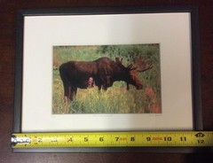 Moose Smelling Flowers Framed 2/100 Photo Signed Willie Holdman 12 1/4″X9 3/4″