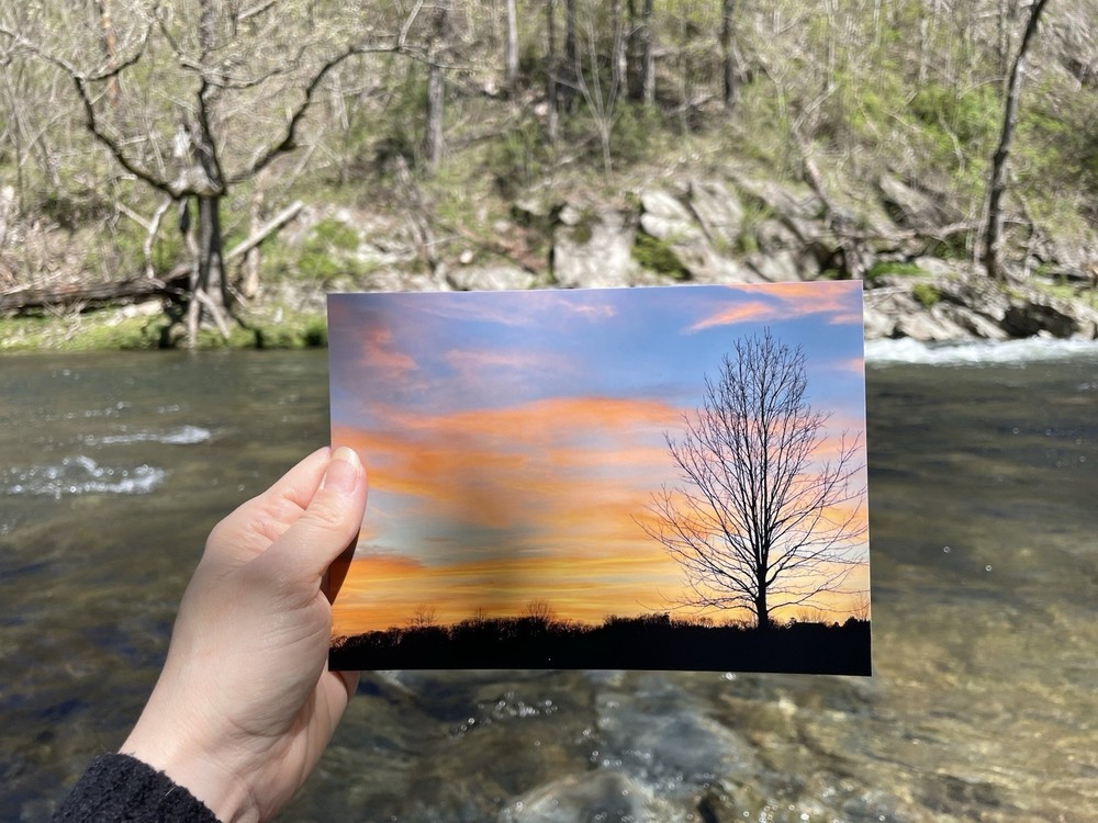 5×7 Colorful Sunset Landscape Photography Winter Barren Tree Giclee Print