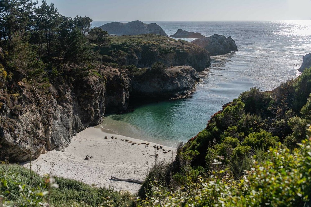 Point Lobos, California: Landscape Metal Photography Print 24×36 by Radu Sava