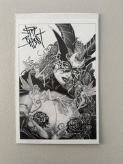 Jim Balent AUTOGRAPHED Picture | Tarot Witch of the Black Rose Limited 215/1000