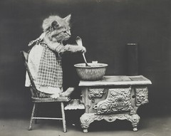 cat kitten kitty art print Harry Whittier Frees 8×10 vintage photo picture #6