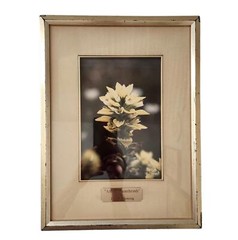 Floral Photograph Wall Art Framed Original Signed Engraved Plaque