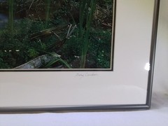 “Indian Creek” Framed Landscape Photograph by Gary Carlson