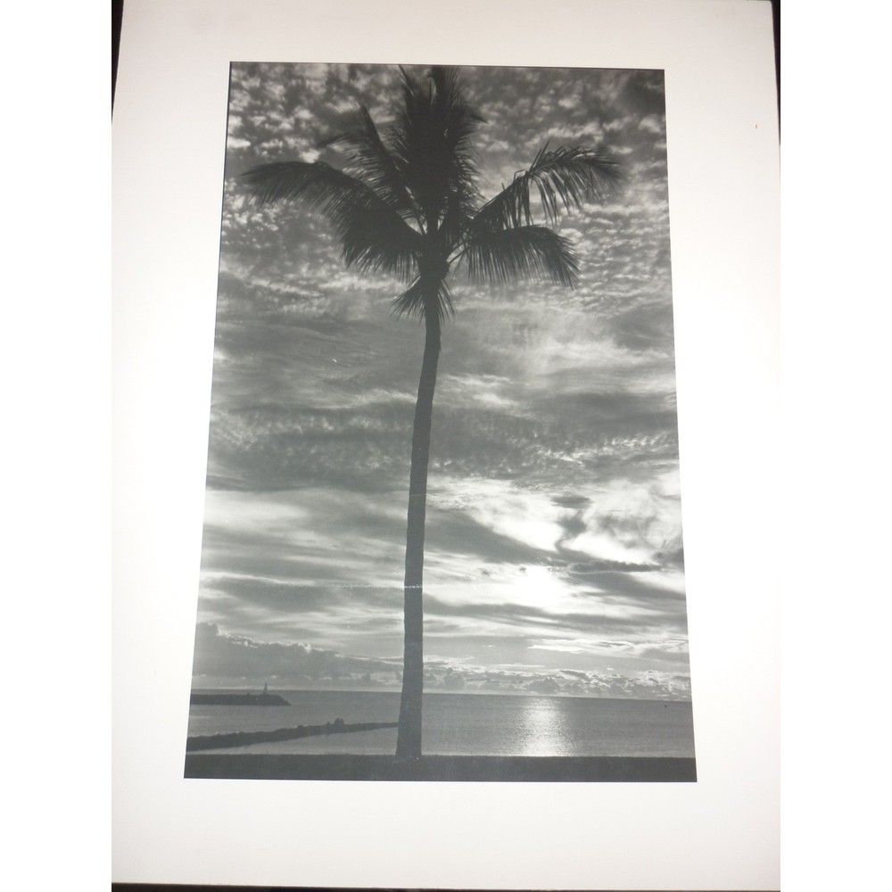 Vintage G. Mestek Signed Photo Art Print Palm Tree Sunset Silhouette Gallery
