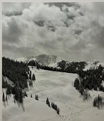 Original FRITZ KAESER ‘Skiing ASPEN, Colorado’ Gelatin Silver PHOTO -Ansel Adams