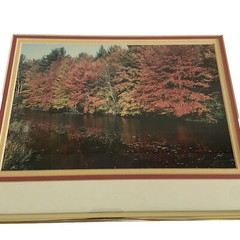 Art Photography Photo Autumn Picture Lake Matted Framed Fall Leaves