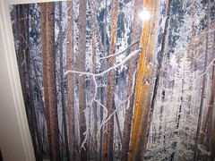 RODNEY LOUGH “The Eye Wanders” Yellowstone Photo 30×40 Signed SOLD OUT