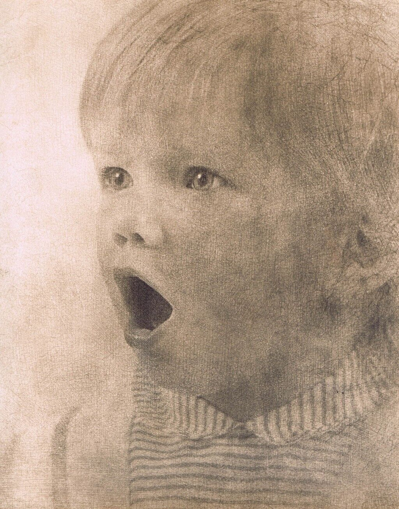 Hendrickson Original Photo SEPIA VERY SURPISED/SHOCKED CUTE TODDLER 11×14″ R295