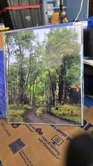 David R Britton Nature Photo Prints 8×10 Cardboard Lot Of 2 Forest Pink Flower