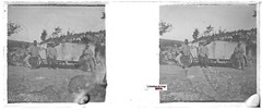 Bataille Somme, Plate Glass Stereo, Tip Positive Antique Black & White
