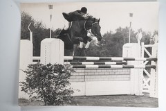 Film Photo France Equestrian Horse Show Jumping 1970 30X40CM