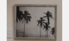 Tropicoco Palmas, Cuba, dyptych 16 x 20in Left/Right art photos, Mel Gonz, 2017