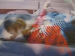 2008 Mark Panza Photo, “child tumbling on floor”; 13″ X 19″, over-exposed