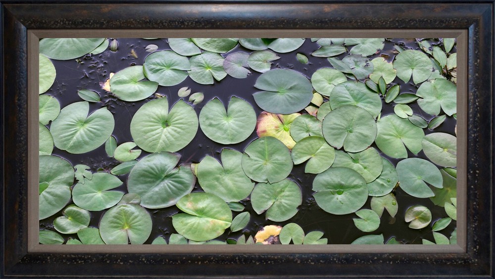 Photographs, 20″x40″ framed, film originals, various subjects, my imagery – $700