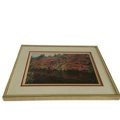 Art Photography Photo Autumn Picture Lake Matted Framed Fall Leaves