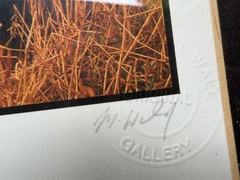Signed Michael Walsh Killarney Co. Kerry Ireland Framed Photograph 13.5″ x 11.5″