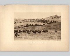 Wanamaker/Dixon “Buffalo Thundered Across the Plains” 1913 Original Photogravure