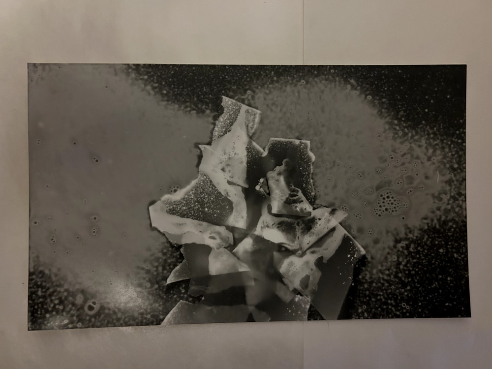 Untitled Small Photogram (4) Circa 2018