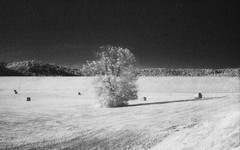 Fine art infrared film print, Rural Tennessee, 12″x19″ glossy paper, unmounted