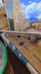 David R Britton Nature Photo Prints 8×10 Cardboard Lot Of 2 Forest Pink Flower