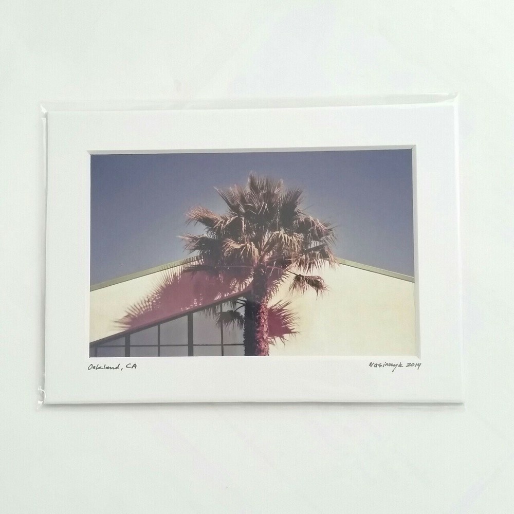 Matted Photo Print Oakland CA Palm Tree Sky Modern Photography Home Decor Beach