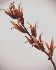fine art photographs nature