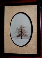 Pair Vintage Framed BARRY GAMOW NATURE PHOTOGRAPHS Signed and Double Matted NEW