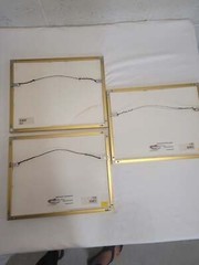 Underwater Photography Framed Prints by Vince Matulewich, set of 3