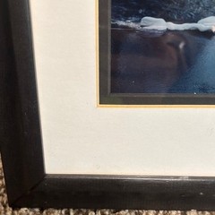 Winter Nature Landscape Scene Signed Photograph Artwork by Sam Pathi Framed