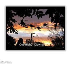 © ART – Ltd.Ed. Australian Christmas Santa Kangaroo A ACEO collector card by Di