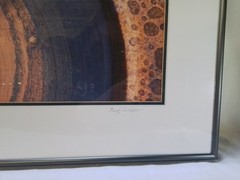 “Birdbath with Leaves” Framed Photograph by Gary Carlson
