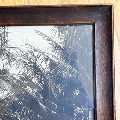 Vintage Framed Sepia Photograph – Historic Coconut Palm Plantation Avenue 17×11