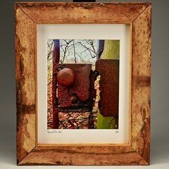 MICHAEL RAY Original Vintage Signed NY Secret Garden Landscape Photograph Print
